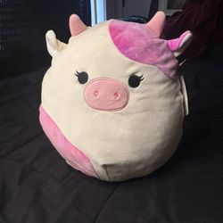 Squishmallows 