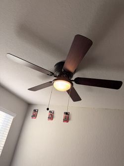 Ceiling Fans