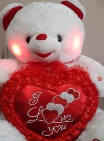 Big New Teddy Bear 🧸