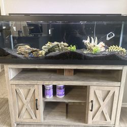 60g Complete Aquarium. Super Clean!
