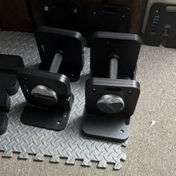 Eisenlink Dumbbells
