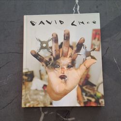 David Choe DAVID CHOE Hardcover Illustrated Art Book, English