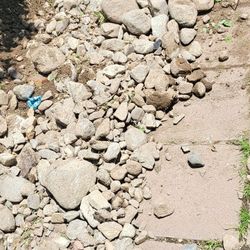 Free Rocks