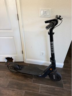 Bird Electric Scooter