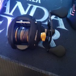 Lew's Baitcaster Reel