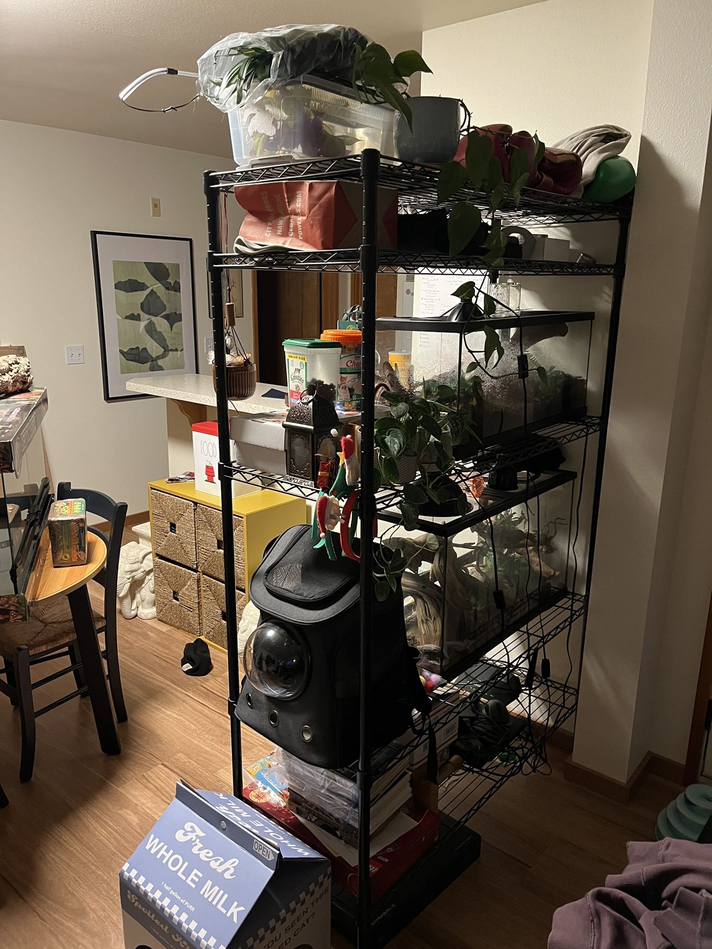 Black Wire Storage Shelves