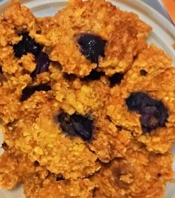 🫐HOMEMADE BLUEBERRY PUMPKIN DOG TREATS