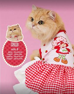 Strawberry shortcake pet dress I have size small and Xs available