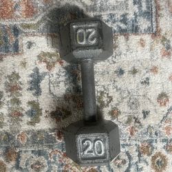 20 Pound Dumbbell