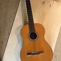 Acoustic Guitar