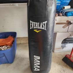 Punching Bag