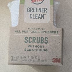 Scrubber Brush