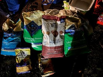 Dog food