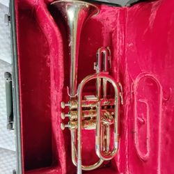 Wind BRASS Bb Instruments TRADE