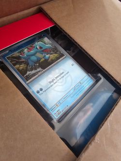 Pokemon Ascended Heroes Costco Mini Tin 2-Pack – 10 Tins / 20 Packs