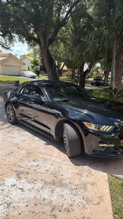 Ford Mustang Convertible Black