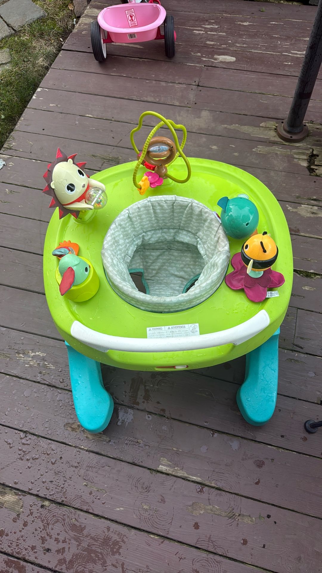 Infant Walker