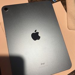 iPad mini