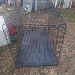  LARGE KENNEL HOUSED A GREAT PYRANESE 