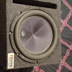 12inch subwoofer massive high performance audio with ported box
