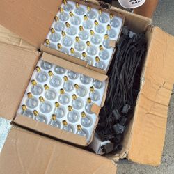 Littlile Light Bulb