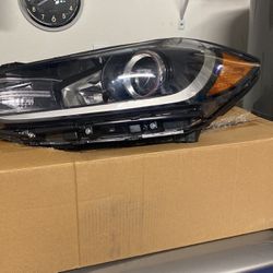 Hyundai Elantra Headlight 
