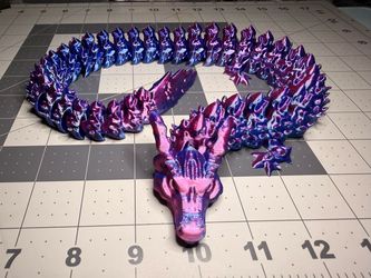 Asian Dragon