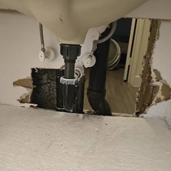 Scottsdale Drywall Repair and Painting Services Free Estimates 