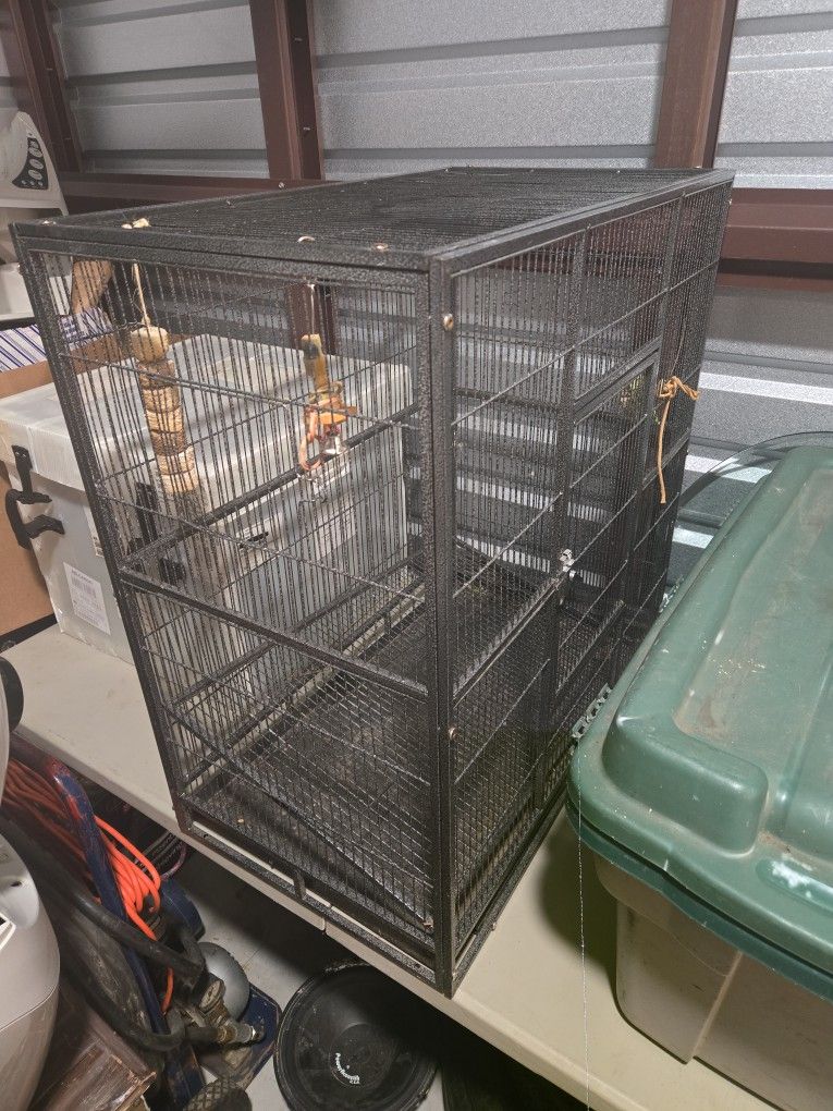 Bird Cage - Used