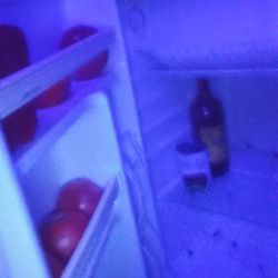 Mini Fridge 