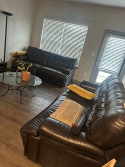 Haverty's sofa