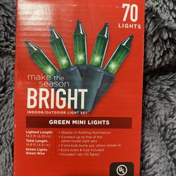 Green Mini Lights NEW 