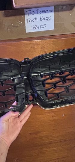 Bmw grill