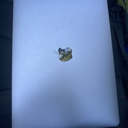 Mac Book Air 2020