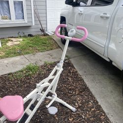 Squat Machine  ( Fly Bird) 
