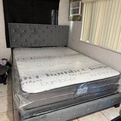 NEW BED FRAME QUEEN SIZE WITH MATTRESS AND BOX SPRING