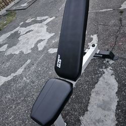 Weights And Bench 