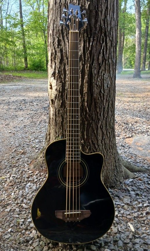 Brand New 5 String Acoustic Electric Bass Guitar 