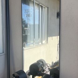 Long mirror