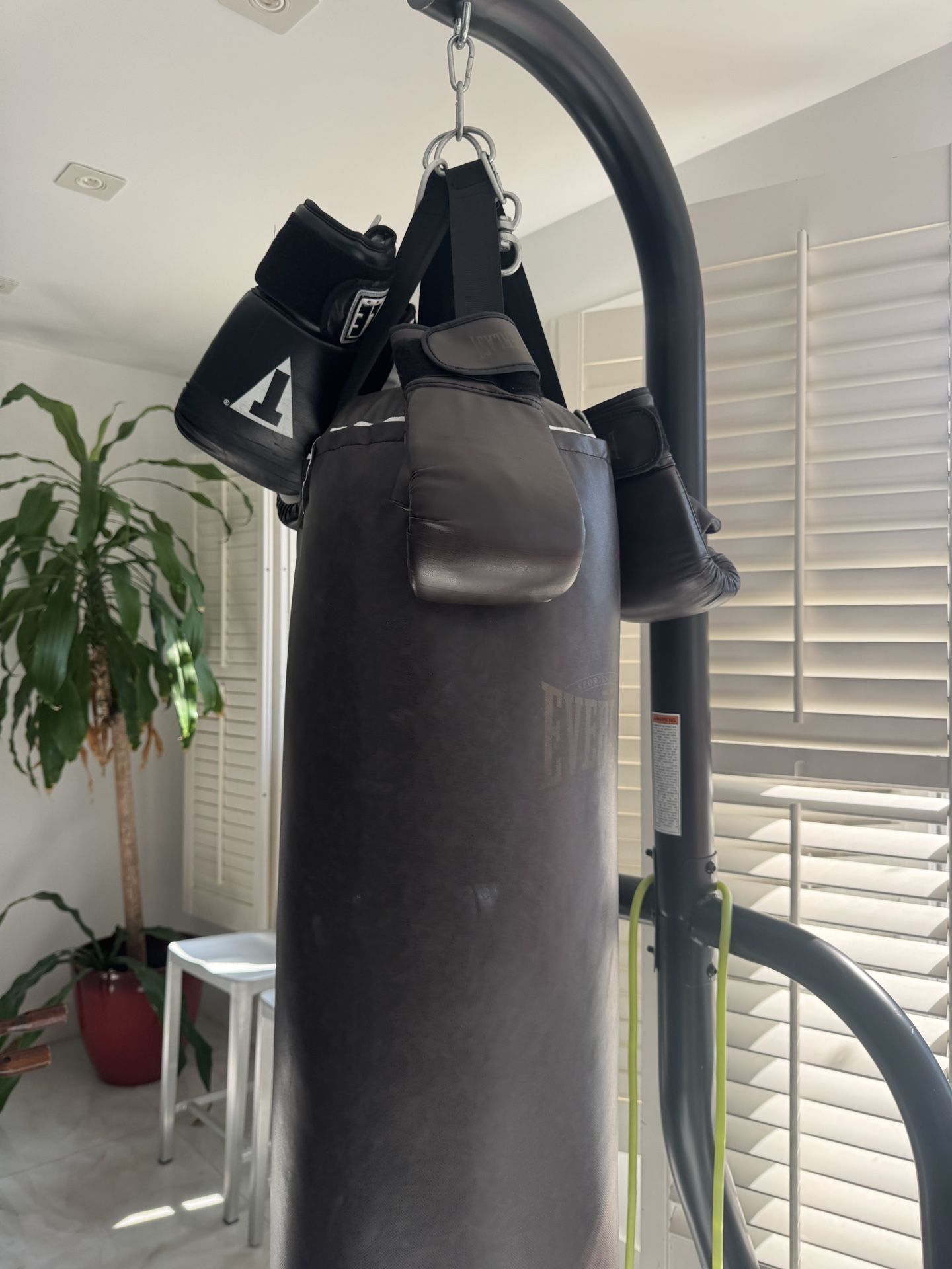 Everlast Punching Bag