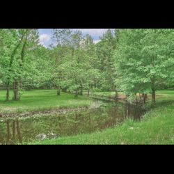 33.46 Acres in Montgomery County