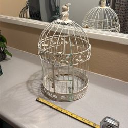 Bird Cage For Plants!