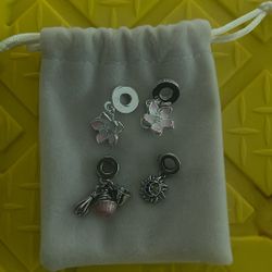 Bracelet Charms  