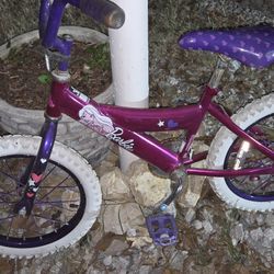 Child's Bike No Training Wheels 