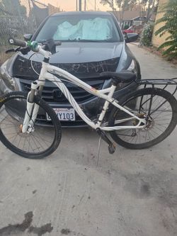Women's Specialized bike