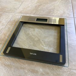 Taylor “Talking Scale”. Brand New