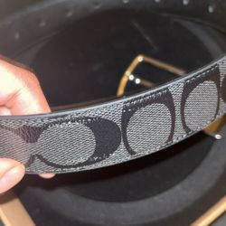 Coach Belt