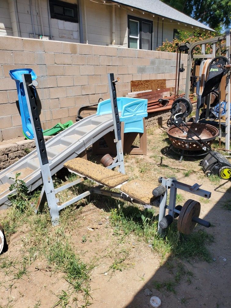 Olympic Weight Bench (Bench Only) Free