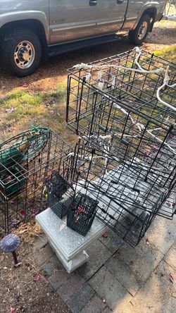 Crab traps / pots