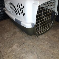 Pet Carrier 